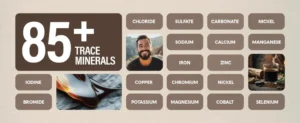 Best Shilajit Original Himalayan Resin