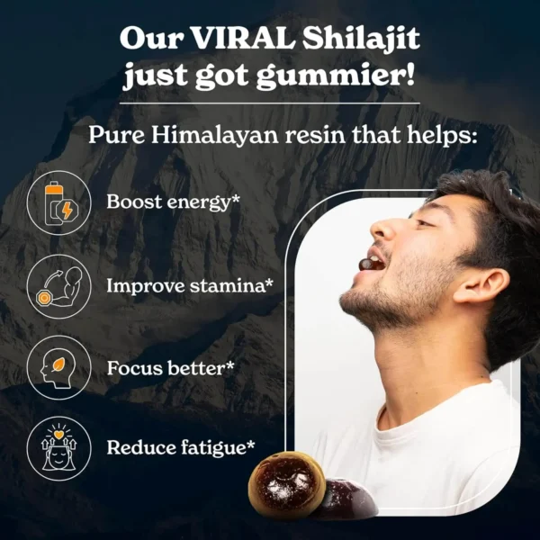 Pure Himalayan Shilajit Gummies