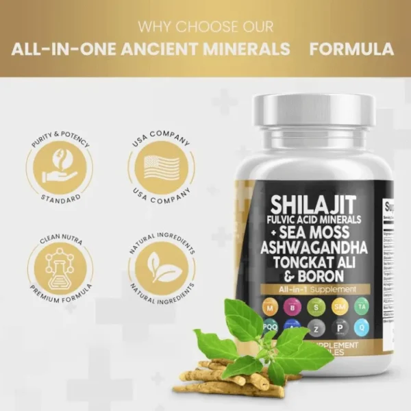 Best Shilajit Supplement