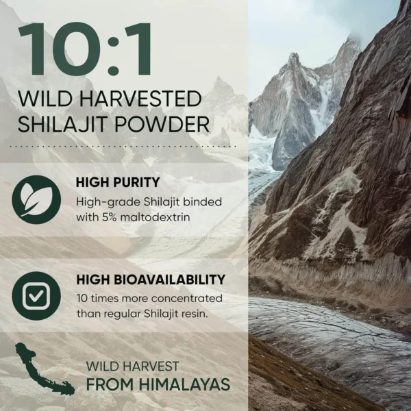 Pure Himalayan Shilajit Powder