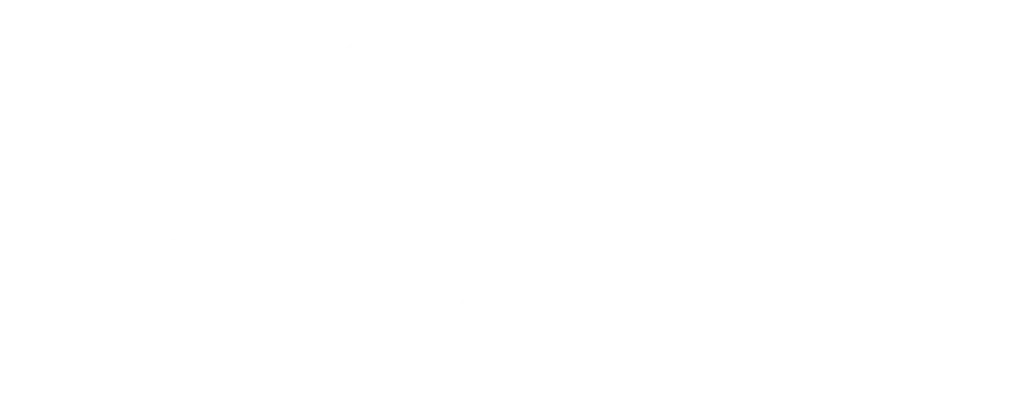 Pure Shilajit Supplements (2)