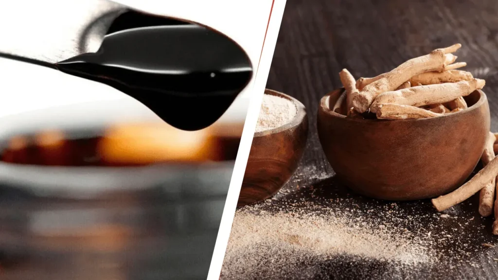 Benefits of Shilajit and Ashwagandha